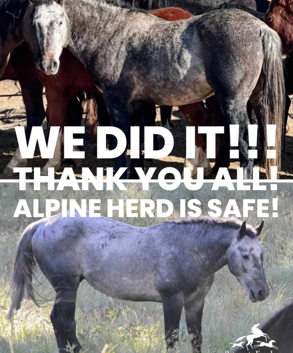 screenshot_20240925-22143728606109220356678259.